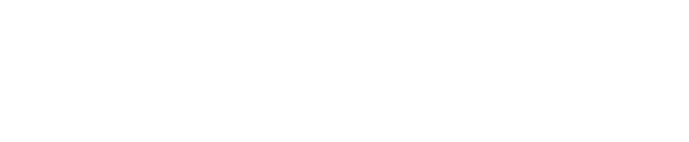 الأستاذ الدكتور أحمد القاضي